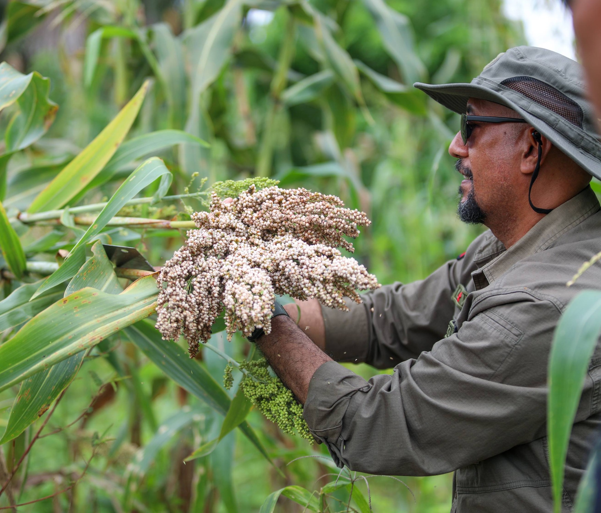 𝗦𝗘𝗞𝗼𝗼𝗽 𝗞𝗼𝗻𝘁𝗶𝗻𝘂𝗮 𝗞𝗼𝗶𝗹𝗹𝗲𝘁𝗮 𝗕𝗮𝗳𝗼 𝗞𝗮𝘆𝗿𝗮𝗹𝗮 𝗛𝗲𝗸𝘁á𝗿𝗲𝘀 𝗧𝗼𝗹𝘂 𝗶𝗵𝗮 𝗚𝘂𝗶𝘀𝘂, 𝗟𝗶𝗾𝘂𝗶çá.